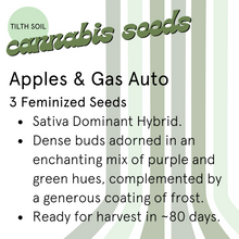 Load image into Gallery viewer, Apples &amp; Gas Autoflower Seeds
