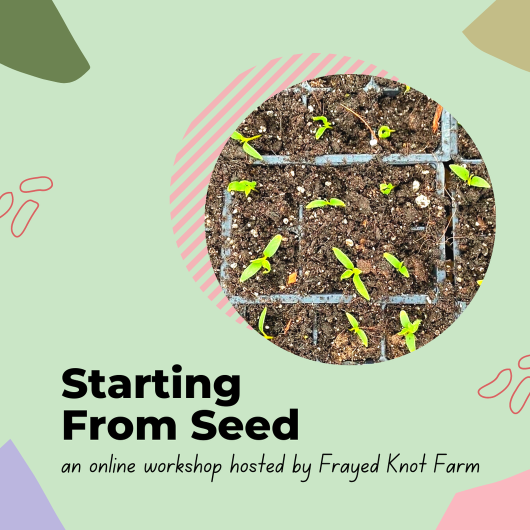 Starting From Seed Workshop | FREE DOWNLOAD