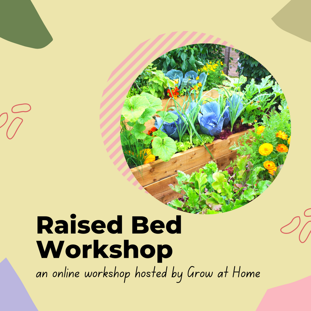 Raised Bed Workshop | FREE DOWNLOAD