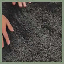 Load and play video in Gallery viewer, Wendell | Organic Screened Compost
