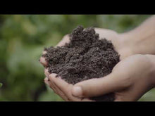 Load and play video in Gallery viewer, Grow | Organic Raised Bed and General-Purpose Soil Mix
