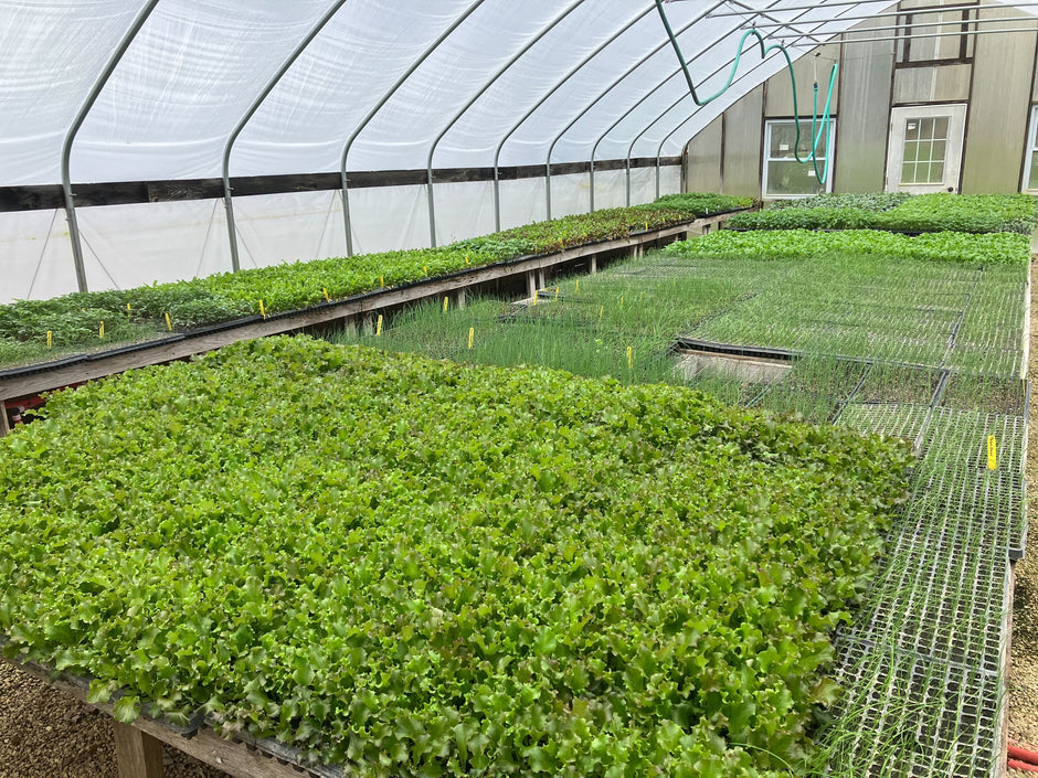 Tilth Soil – Living Soil for Professionals and Homegrowers
