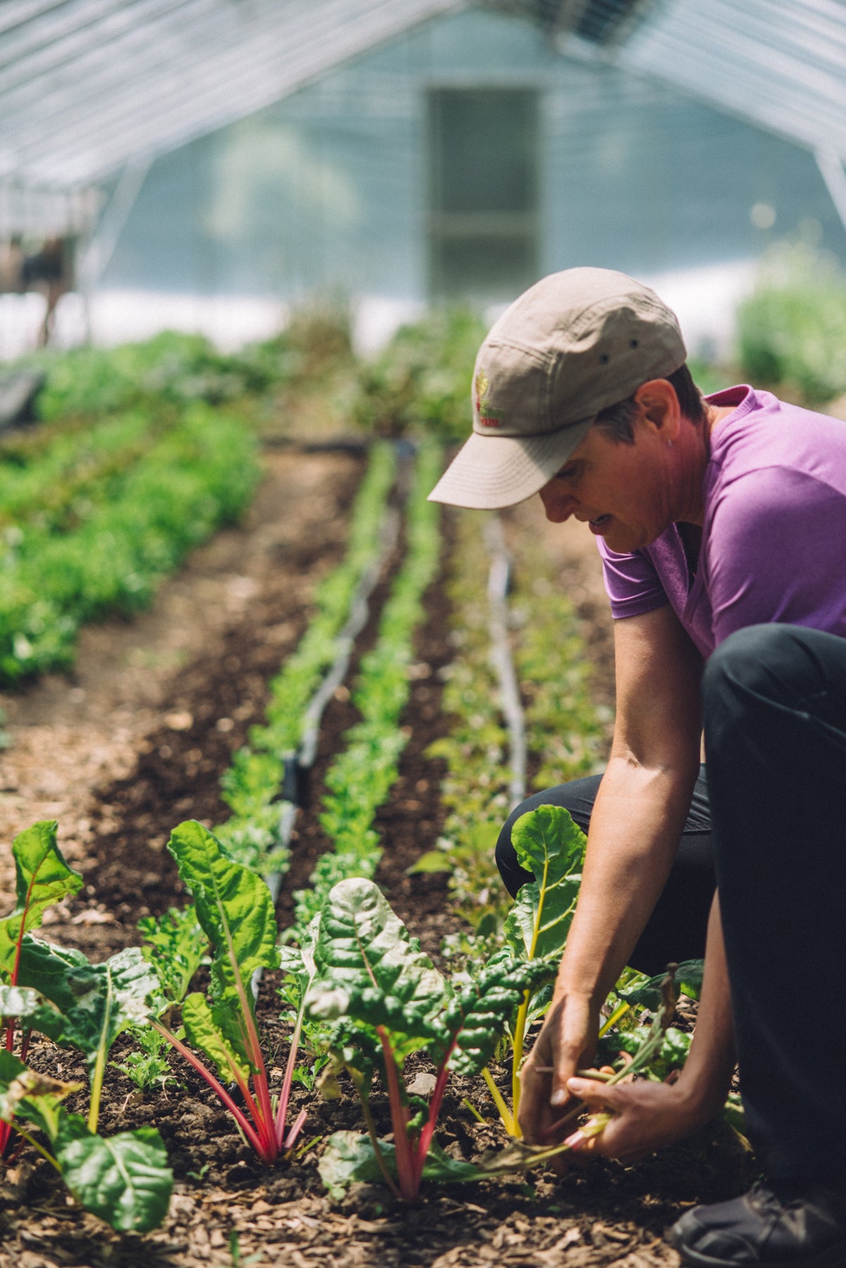 Wendell - Organic Screened Compost