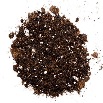 bloom potting mix Bloom