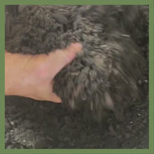 Load and play video in Gallery viewer, Grow.
