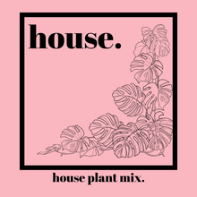 Load image into Gallery viewer, House.
