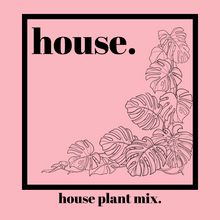Load image into Gallery viewer, House: Organic Indoor Houseplant Mix
